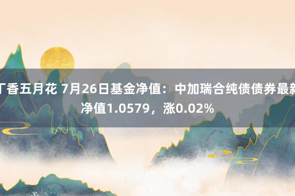 丁香五月花 7月26日基金净值：中加瑞合纯债债券最新净值1.0579，涨0.02%