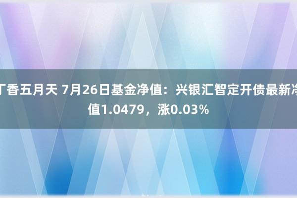 丁香五月天 7月26日基金净值：兴银汇智定开债最新净值1.0479，涨0.03%