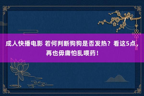 成人快播电影 若何判断狗狗是否发热？看这5点，再也毋庸怕乱喂药！