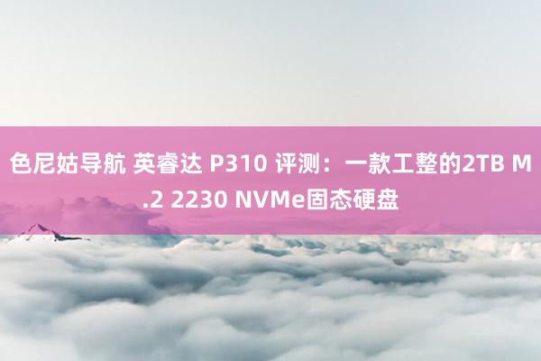 色尼姑导航 英睿达 P310 评测：一款工整的2TB M.2 2230 NVMe固态硬盘