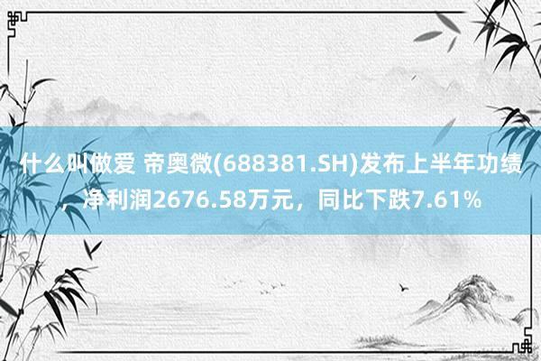 什么叫做爱 帝奥微(688381.SH)发布上半年功绩，净利润2676.58万元，同比下跌7.61%