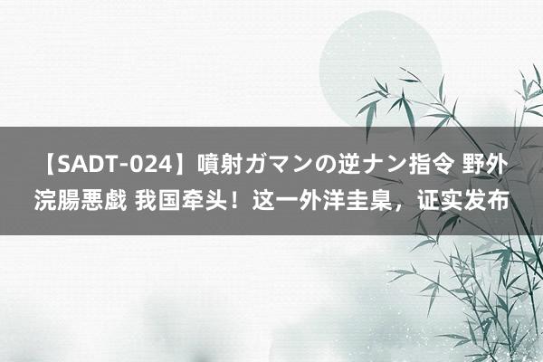 【SADT-024】噴射ガマンの逆ナン指令 野外浣腸悪戯 我国牵头！这一外洋圭臬，证实发布