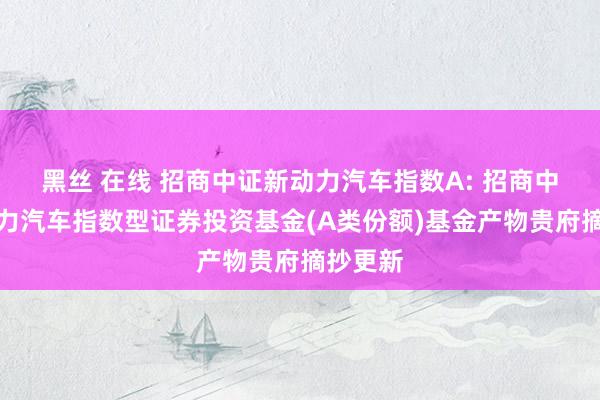 黑丝 在线 招商中证新动力汽车指数A: 招商中证新动力汽车指数型证券投资基金(A类份额)基金产物贵府摘抄更新