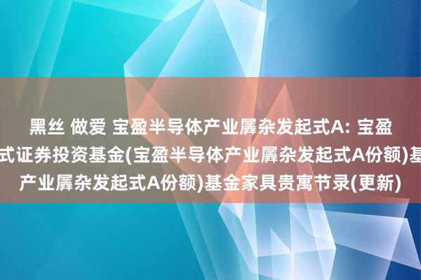 黑丝 做爱 宝盈半导体产业羼杂发起式A: 宝盈半导体产业羼杂型发起式证券投资基金(宝盈半导体产业羼杂发起式A份额)基金家具贵寓节录(更新)