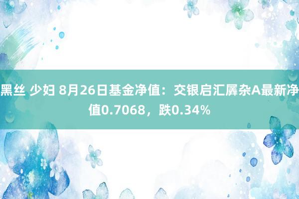 黑丝 少妇 8月26日基金净值：交银启汇羼杂A最新净值0.7068，跌0.34%