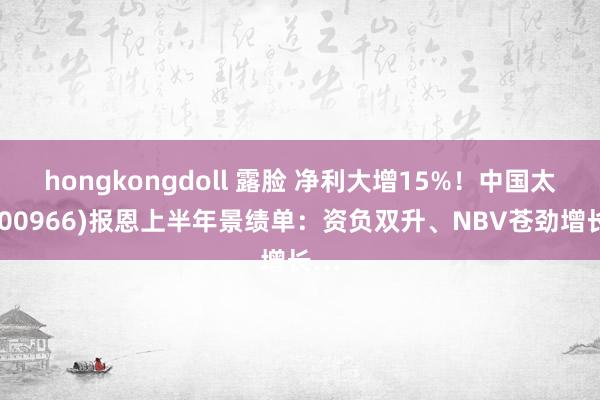 hongkongdoll 露脸 净利大增15%！中国太平(00966)报恩上半年景绩单：资负双升、NBV苍劲增长…