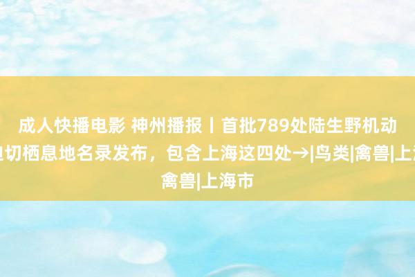 成人快播电影 神州播报丨首批789处陆生野机动物迫切栖息地名录发布，包含上海这四处→|鸟类|禽兽|上海市