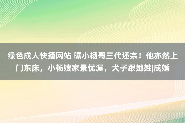 绿色成人快播网站 曝小杨哥三代还宗！他亦然上门东床，小杨嫂家景优渥，犬子跟她姓|成婚